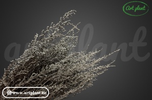 Stoebe Stabilizata Silver - Img 1