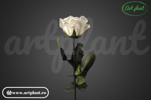 Trandafir criogenat Alb Whi01 cu tijă, 30 cm - Img 2