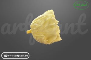 Cap de trandafir criogenat light yellow 100% natural, Romantic Shape, Ø 6–6.5 cm, decor interior elegant, aranjament floral