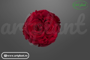Trandafir criogenat Romantic roșu