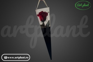 Trandafir criogenat Rosu Red01 cu tijă, 30 cm - Img 3