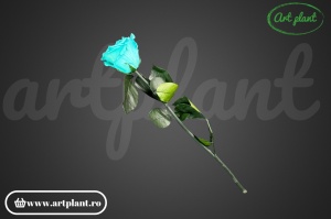 Trandafir criogenat Turquoise Blu02 cu tijă, 30 cm - Img 2