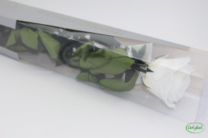Trandafiri Criogenat Gift Box cu tijă Premium Alb 50 cm - Img 2