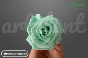 Trandafiri Criogenati 6cm Mint