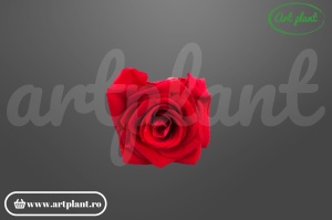 Trandafiri Criogenati 6cm Rosu