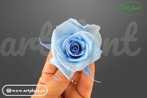 Trandafir criogenat mini baby blue 1 bucată floare naturală conservată Ecuador Art Plant