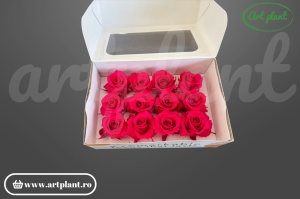 Trandafiri Criogenati Mini Chery Blush din Ecuador, 3-5 cm , inaltime 3-4 cm, 12 buc