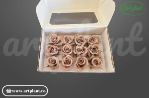 Trandafiri Criogenati Mini Latte din Ecuador, 3-5 cm , inaltime 3-4 cm, 12 buc