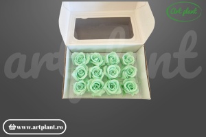 Trandafiri Criogenati Mini Mint din Ecuador, 3-5 cm , inaltime 3-4 cm, 12 buc