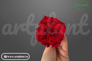 Trandafir criogenat Romantic Rosu din Ecuador, Ø 6–6.5 cm • Înălțime 4.5–5.2 cm, 6 buc