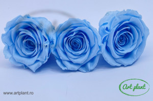 Trandafiri Criogenati XL Bleo Blu89 - Img 2