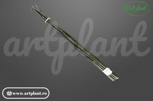 Tulpini criogenate naturale, legătură 10 tije - Art Plant