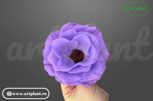 anemonă stabilizată lila floare delicată pentru aranjamente decorative