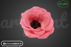 Anemonă stabilizată roz