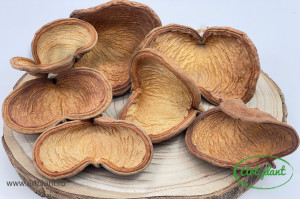 Badam natur maro