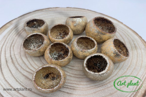 Bell Cup Champagne & Glitter (diametru 4-5 cm) - Img 2