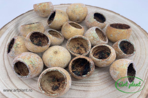 Bell Cup Mini Glitter Verde