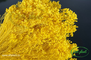 Broom lime