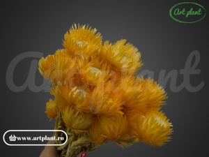 Buchet capblume Portocaliu - Img 1