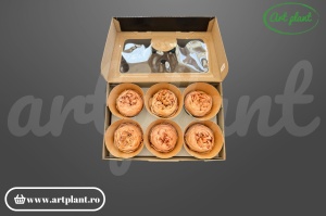 Bujor criogenat Caramel – floare stabilizată natural | Art Plant