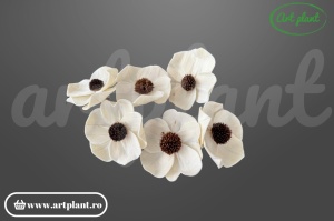 Cap anemonă sola 8 cm cu petale albe și centru brun negru, floare decorativă din lemn de sola