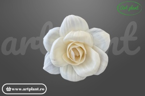 Cap bujor deschis sola 10 cm cu petale larg desfăcute, floare decorativă voluminoasă din lemn de sola