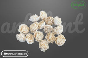 Cap bujor sola 4 cm cu petale dense stratificate, floare decorativă albă din lemn de sola