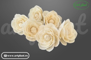 Cap camelie sola 10 cm cu petale simetrice în spirală, floare decorativă elegantă din lemn de sola