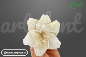 Cap crin sola 8 cm cu petale alungite clasice, floare decorativă elegantă din lemn de sola