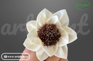 Capete eva sola 6cm,