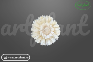 Cap floarea soarelui dublă sola 8 cm cu petale pe două rânduri, floare decorativă voluminoasă din lemn de sola