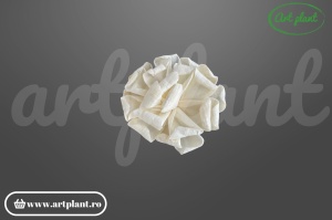 Capete Gardenie Sola 6 cm