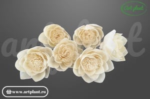 Cap lotus sola 10 cm cu petale conice în rânduri concentrice, floare decorativă zen din lemn de sola