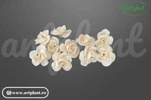 Cap orhidee new sola 4 cm model modern cu proporții fine, floare decorativă contemporană din lemn de sola