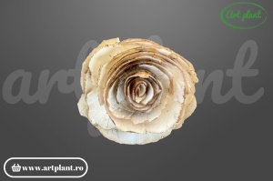 Cap trandafir sola rustic vintage 4 cm alb crem, floare decorativă pentru aranjamente bohemian
