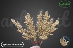 Coacăze ornamentale champgane glitter