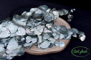 Eucalipt Espiral Metal Turquoise - Img 1