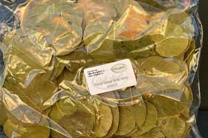 Frunze Moneta Verde Inchis