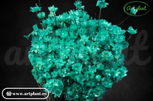 Glixia verde turquoise (G)