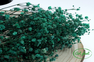 Gypsophila Criogenată Turquoise - Img 2