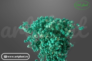 Gypsophila Turcoaz criogenată, buchet 100-130g, nuanță turcoaz vibrantă pentru decoruri marine și nunți de vară