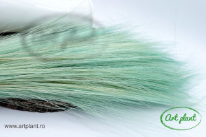 Iarba Barba Aqua Green