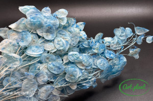 Lunaria Small Blue Turchese