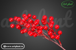 Mini Berries festive - Img 2