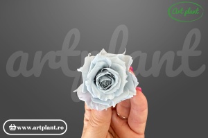Mini Rose Romantic stabilizate Milka - Img 2