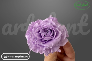 Mini Rose Romantic stabilizate Mov Lila