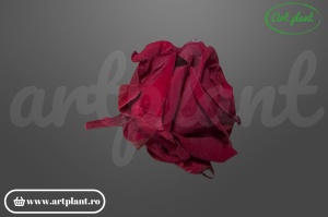 Mini Roze Rosu Red01 - Img 2