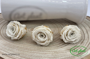 Mini Roze Warmi Alb-Crem Whi04 - Img 2