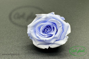 Mini Roze Warmi Violet Vio89