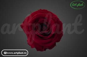 Mini Roze Warmi Visiniu Pin02